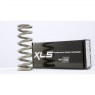 FAST Suspension  FAST ICHU XLS Steel Spring - 2.56"