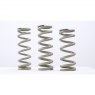 FAST Suspension  FAST ICHU XLS Steel Spring - 2.56"